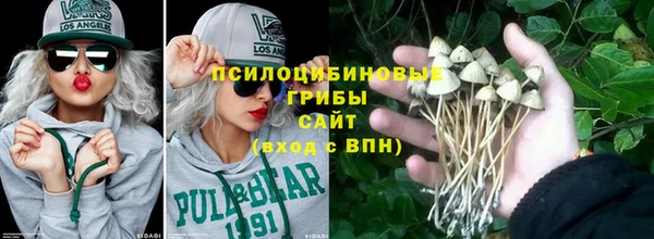 гидра Бежецк