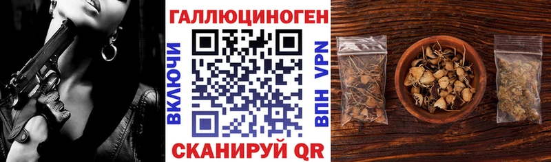 где найти наркотики  Тара  кракен зеркало  Псилоцибиновые грибы ЛСД 